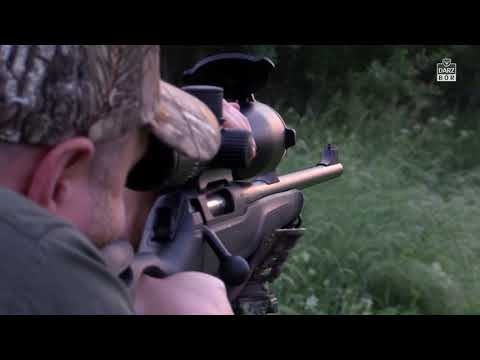 Darz Bór odc 292 - Poranek z koziołkami