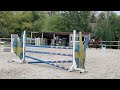 Cheval 9 ans &agrave; vendre 