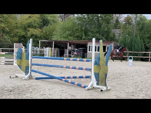 Cheval 9 ans &agrave; vendre 