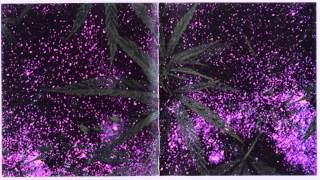 Electric Wizard - Another Perfect Day? [HD] Lyrics