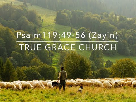 Psalm 119:49-56  (Zayin)