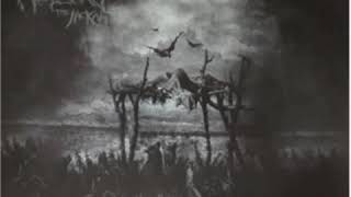 Wolfera the jackal  - Transfigurations