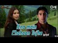 Itna Main Chahoon Tujhe Koi Kisi Ko Na Chahe Lyrical Raaz Udit Narayan AlkaYagnik Love Song