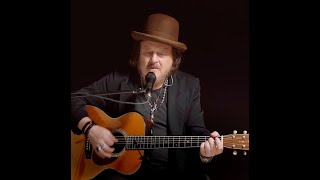 Zucchero - Come Il Sole All&#39;Improvviso (Live Acoustic)