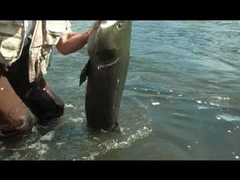 Ulovi Trofej - RIBOLOV U MONGOLIJI