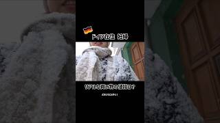 🇩🇪 巣ごもり妊婦ドイツスーパーへ　#海外生活 #ドイツ #国際結婚 　　　　#youtubeshorts