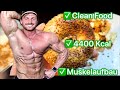 Muskelaufbau | 4400 Kcal Full Day of Eating & Ernährungsplan kostenlos ! Clean Food !