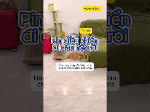 Pin điều khiển đi đâu hết rồi #giaitri #haihuoc