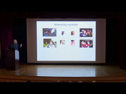 Shimon Ullman, Weizmann Institute of Science: Image understanding beyond object recognition