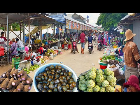 Snacks, Market Foods, And Breakfast - Amazing Everyday Fresh Food Compilation @ Countryside