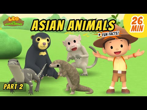 Witness21 Editor  2020 11 07