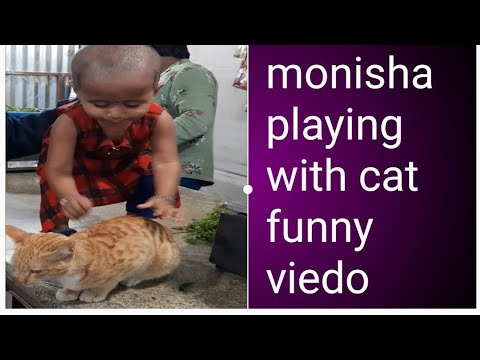 cute Baby and cats funny videos |baby playing with cat@ sreelekha ideas & tips