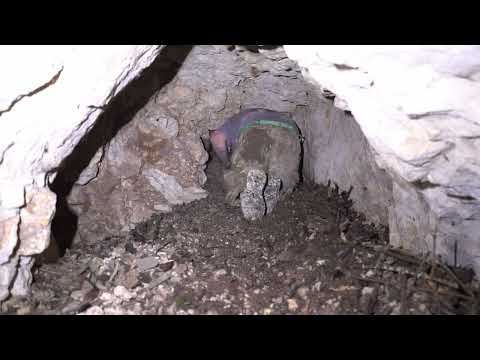 This WWII Hideout Was Meant to Stay Secret… Until Now