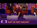 DENNIS in het nauw, maakt RARE sprongen... | De Gordon tegen Dino Show