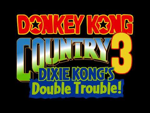 Wrinkly's Save Cave - Donkey Kong Country 3: Dixie Kong's Double Trouble! OST