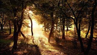 Nickelback - After the Rain [Traduzione ITA]