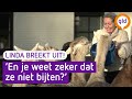 Linda Breekt Uit #1: slapen, wandelen en voeren... bij alpaca's! | Omroep Gelderland