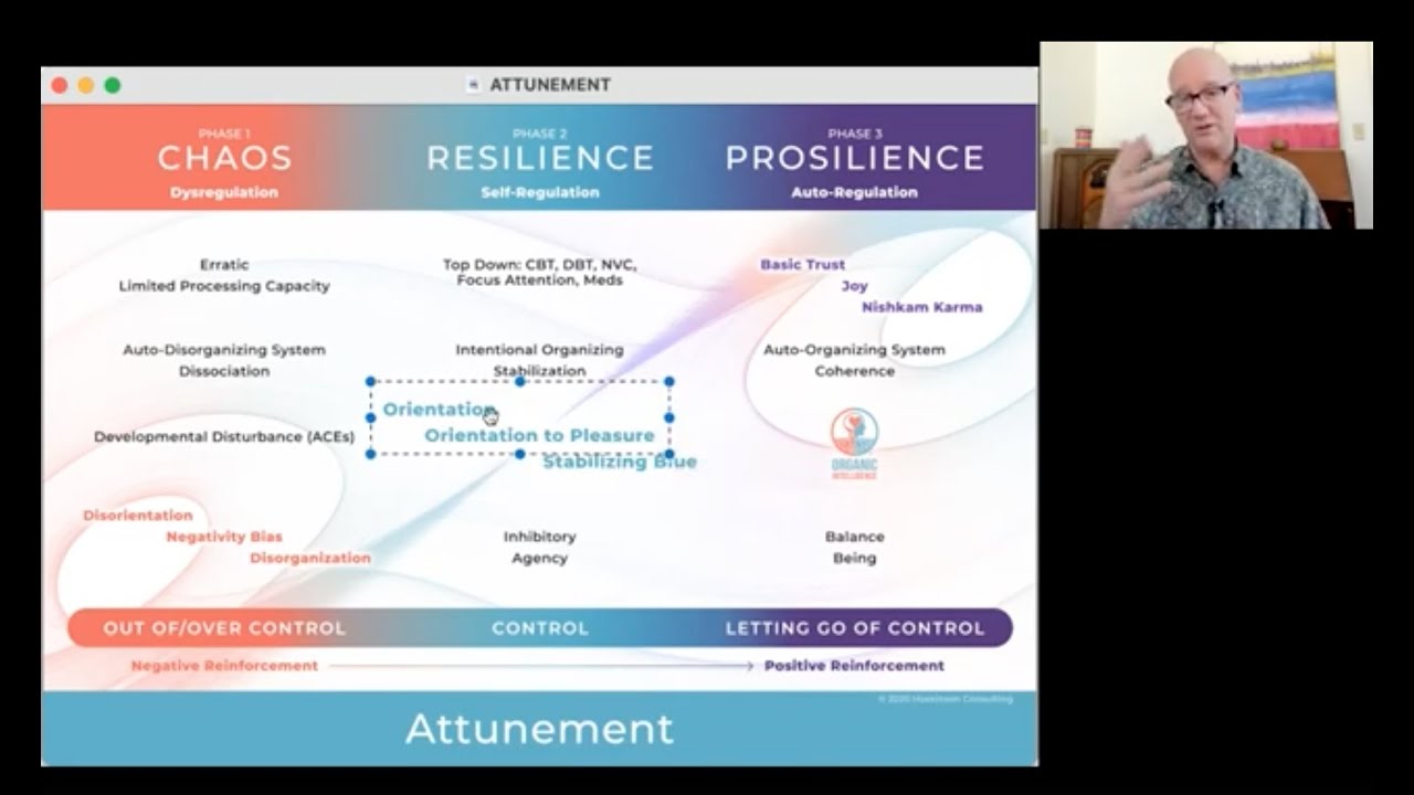 Post Trauma Growth - Supporting Our Biology (Organic Intelligence® w/ Steve Hoskinson)