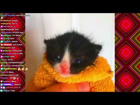 🔥soulstrike🔥 @ FUNNY RAVE: SWEET BABY RAVES