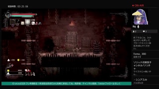 [2D版ダクソ]ソルトアンドサンクチュアリー
