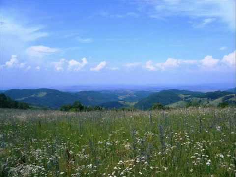 Жељко Панонац  - Играле Се Делије