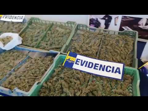 Nuevos detenidos por drogas en la comuna de Longaví