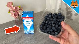 Stop Washing Blueberries ONLY with Water💥(Surprising Result)🤯