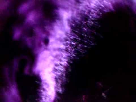 ZAPATO 3 Donde  Estas