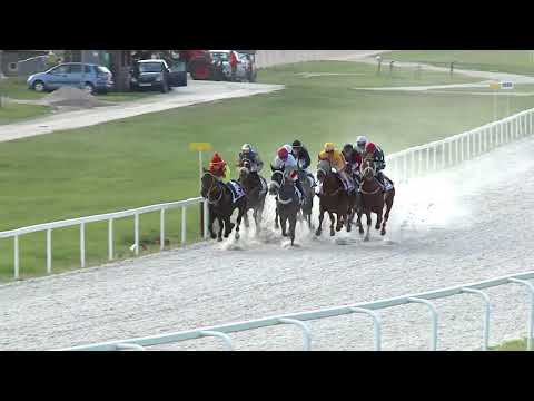 2020.08.23. 07. futam - EQUINE PRODUCTS HENDIKEP (II.o.) (szintetikus pálya)