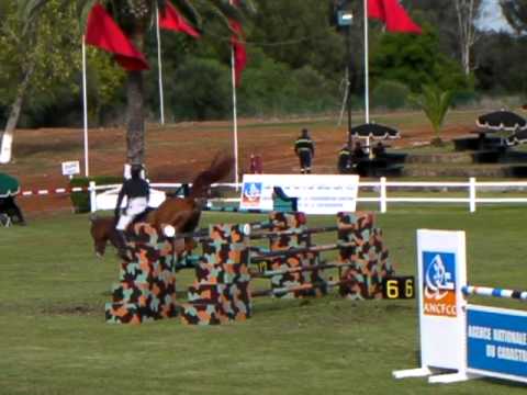 Julien Gonin - Alascio Van Bochten