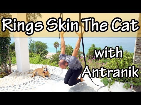 Still Rings Basics: Skin the Cat & German Hang with Antranik