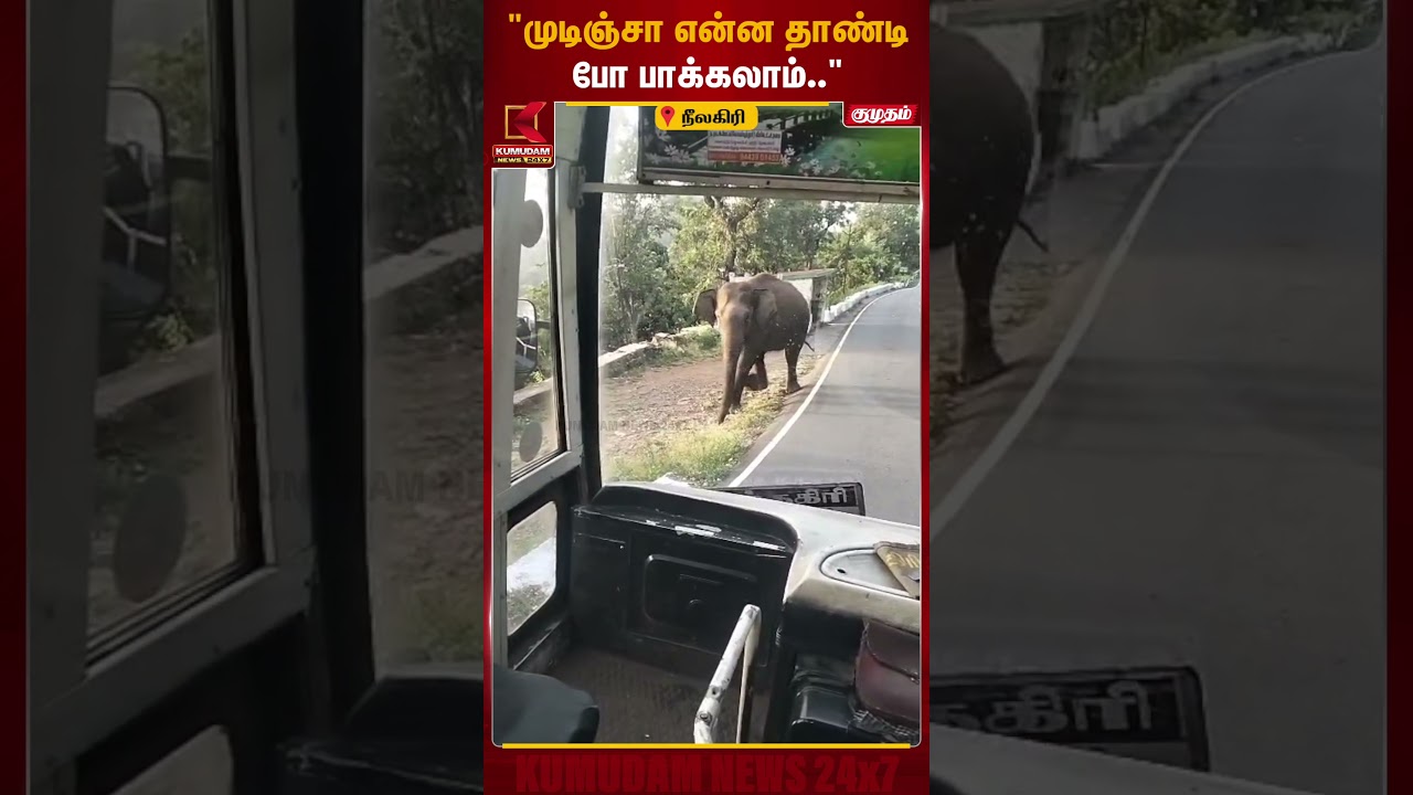 அரசு பேருந்தை வழிமறித்த ஒற்றை யானை..! அச்சத்தில் பயணிகள் | Nilagiri | Elephant Viral | Kumudam News