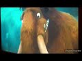 Ice Age The Meltdown Manny Underwater Scenes