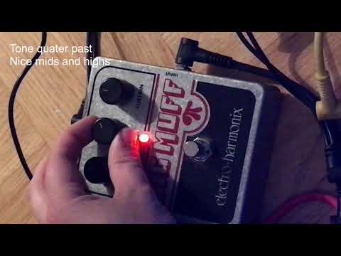 Doktorn talar ut om sin pedalfili