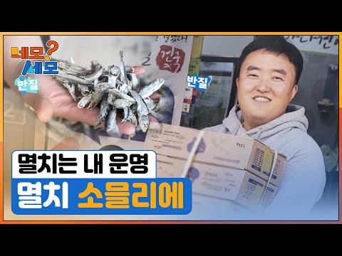 [네모세모] 멸치는 내 운명 “멸치 소믈리에”