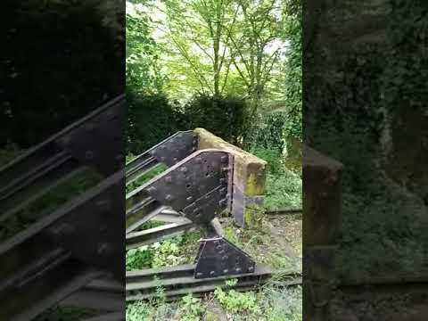 Z.L.S.M. Schienenbus in Vetschau #shorts #Zug #ZLSM #Miljoenenlijn