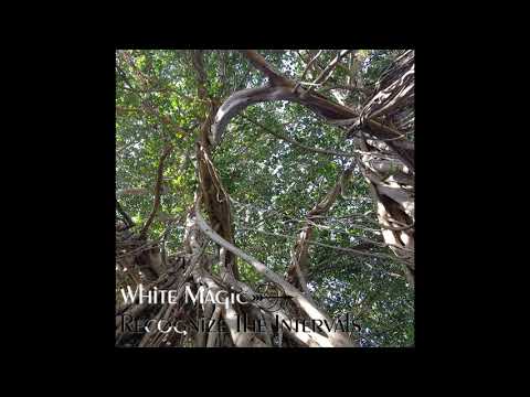 White Magic - Recognize The Intervals (Progressive Psytrance Mix by Liz Anima)