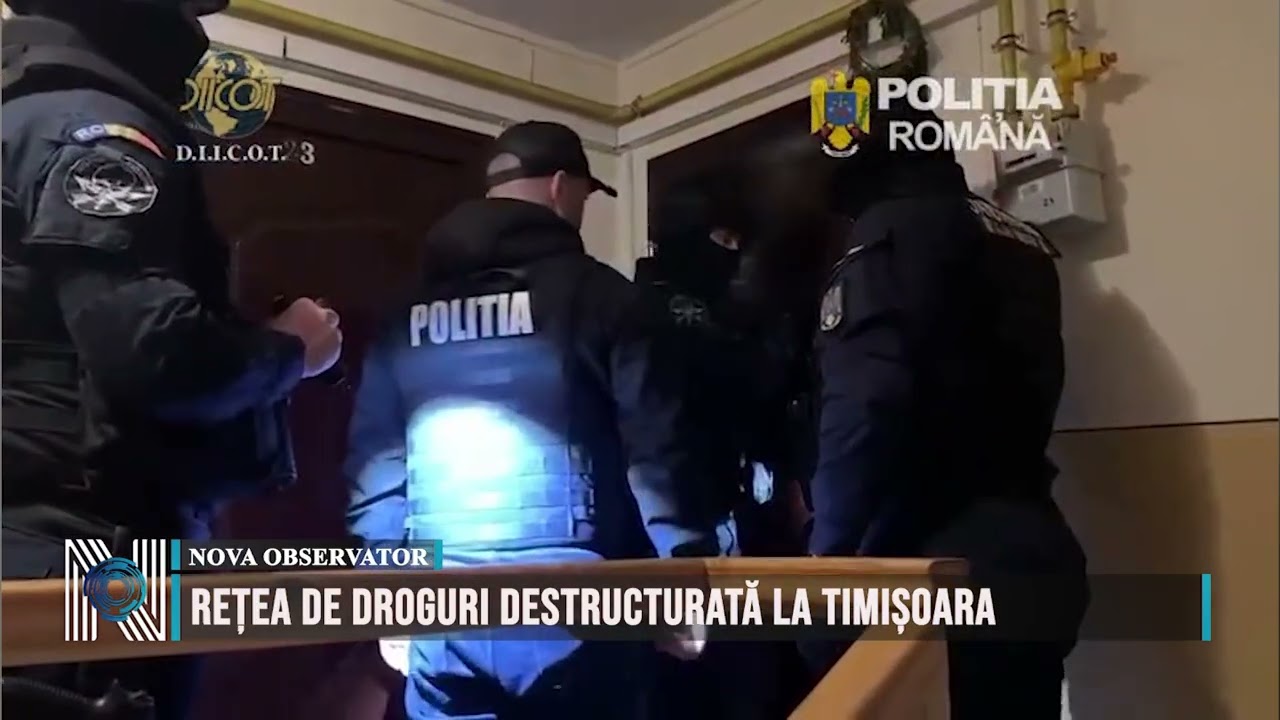 Rețea de droguri destructurată la Timișoara