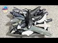 Sea Animals Collection Shark Whale Dolphin Narwhal Beluga Megalodon Megamouth Vaquita Sawfish Orca