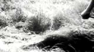 Rachel's - Water From the Same Source