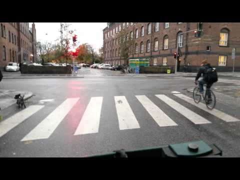 Cykel over for sen rød