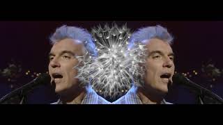 Talking Heads | David Byrne | Nothing But Flowers | Live HD Shift Blend