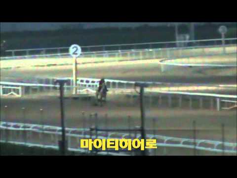 Ultra, MightyHero, Dalbit, LuckyDancer