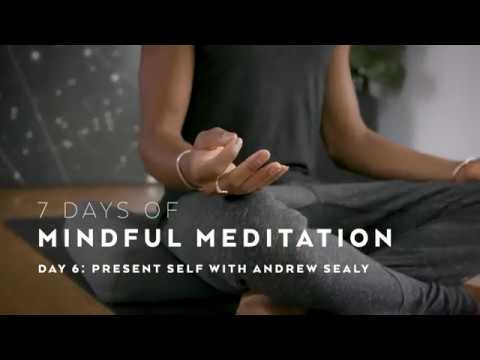 DAY 6: Present SELF with Andrew Sealy - 7 Days of Mindful Meditation