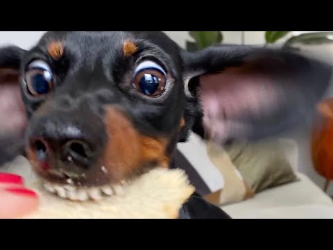 Loulou's 5th birthday.