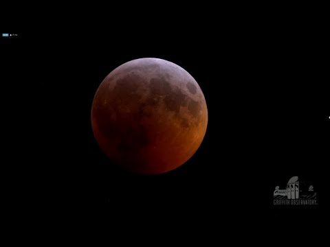 TIME LAPSE: Super blood wolf moon