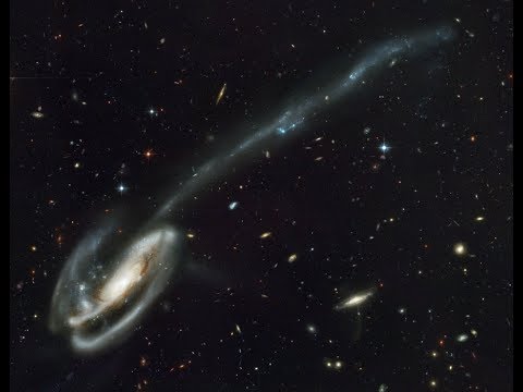 Tadpole Galaxy.