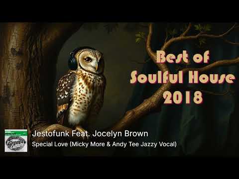 DJ Rimiks - Soulful House Year Mix 2018