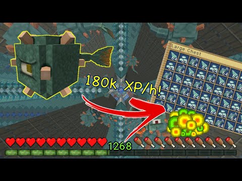 Farm di Guardian 180k XP/h AFK | 1.16+ [ENG-ITA]