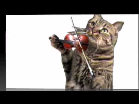 HapPy Birthday NaZiM